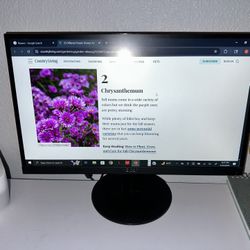 Acer 23.8 Inch Gaming/ Office Monitor 