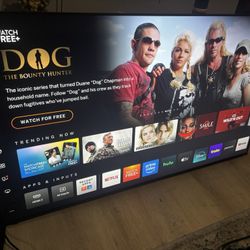 65’ Vizio 