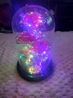Light Up Glass Roses Dome