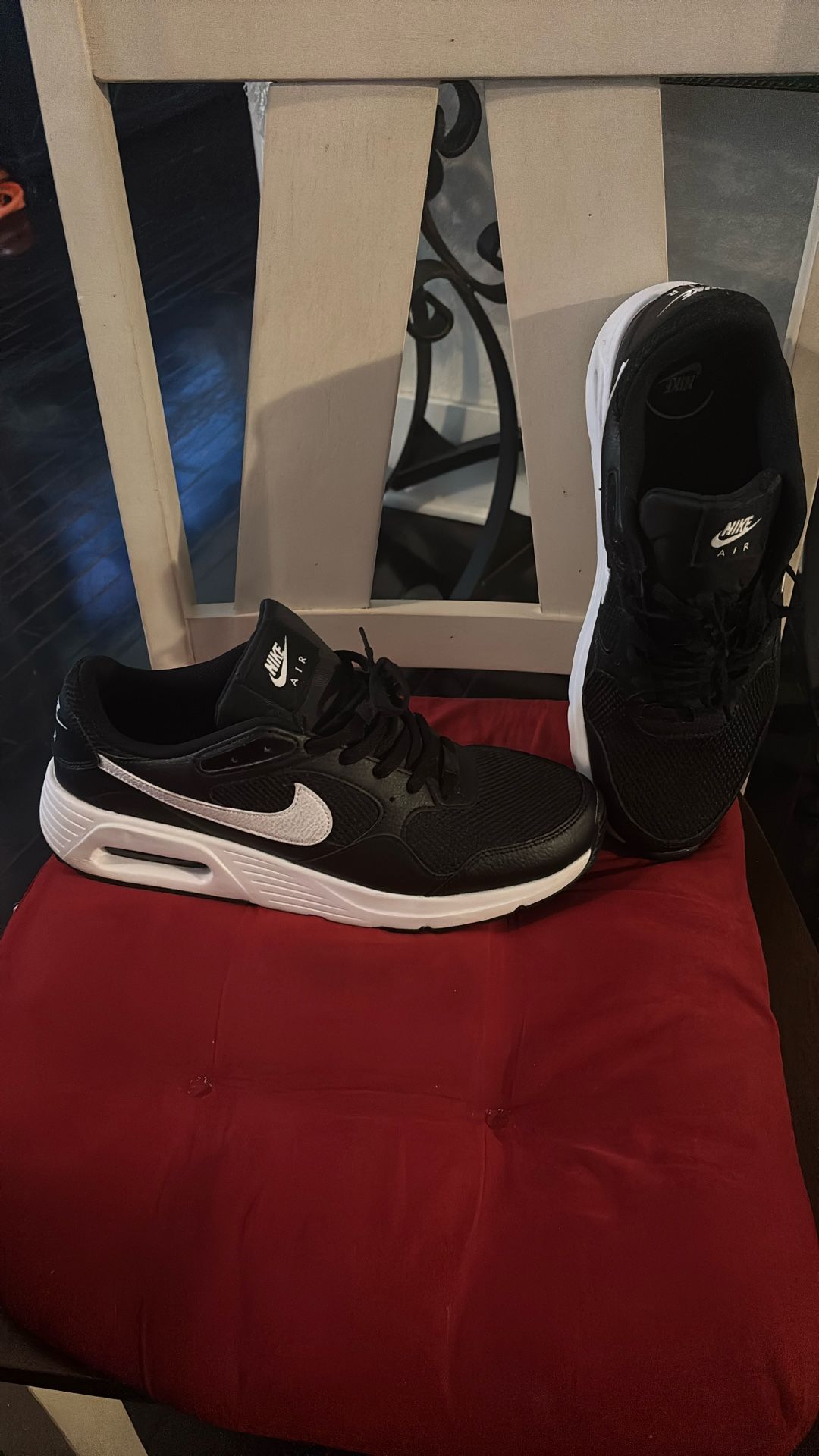 Nike Air Max