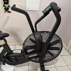 .Rogue-Echo-Bike-V3