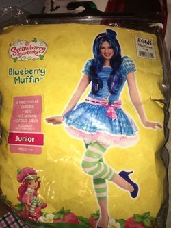 Blueberry costume