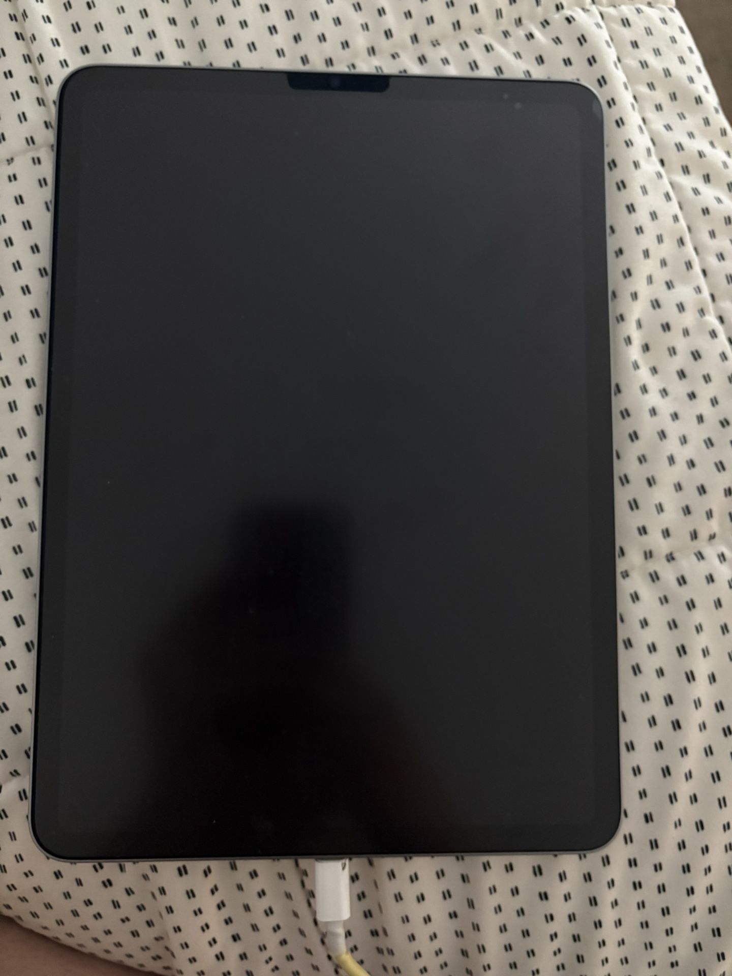 iPad Pro 4th Gen 11in