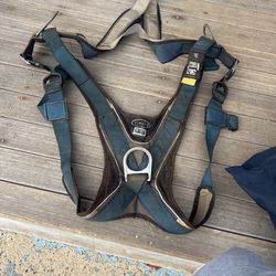 Harness