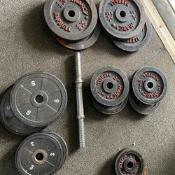 Weights Exercise 