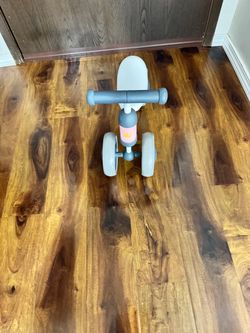 Princess tricycle