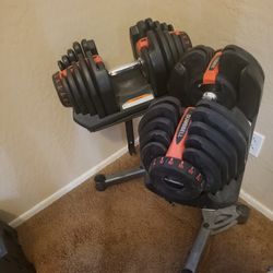 10-90 Pound Adjustable Dumbbells (Pair)