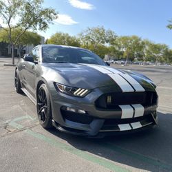 2016 Ford Shelby Gt350