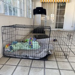 Dog Crate
