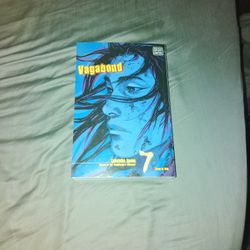 Vagabond v. 7