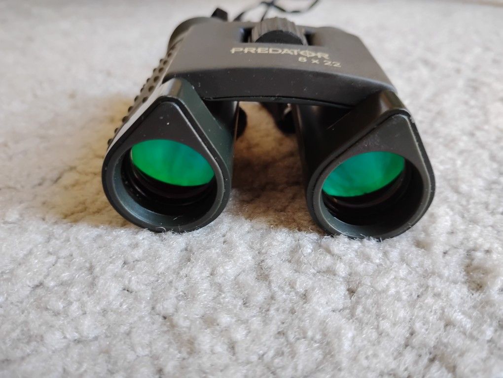Steiner Predator 8x22 binoculars with case... very good condition