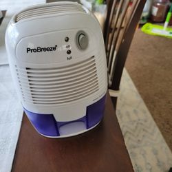 Dehumidifier Air Purifier 