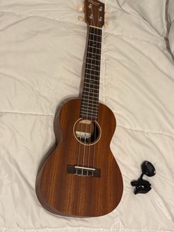 Ukulele/ instrument/music