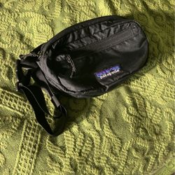 Patagonia Fanny Pack