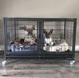 43” Dog Kennel