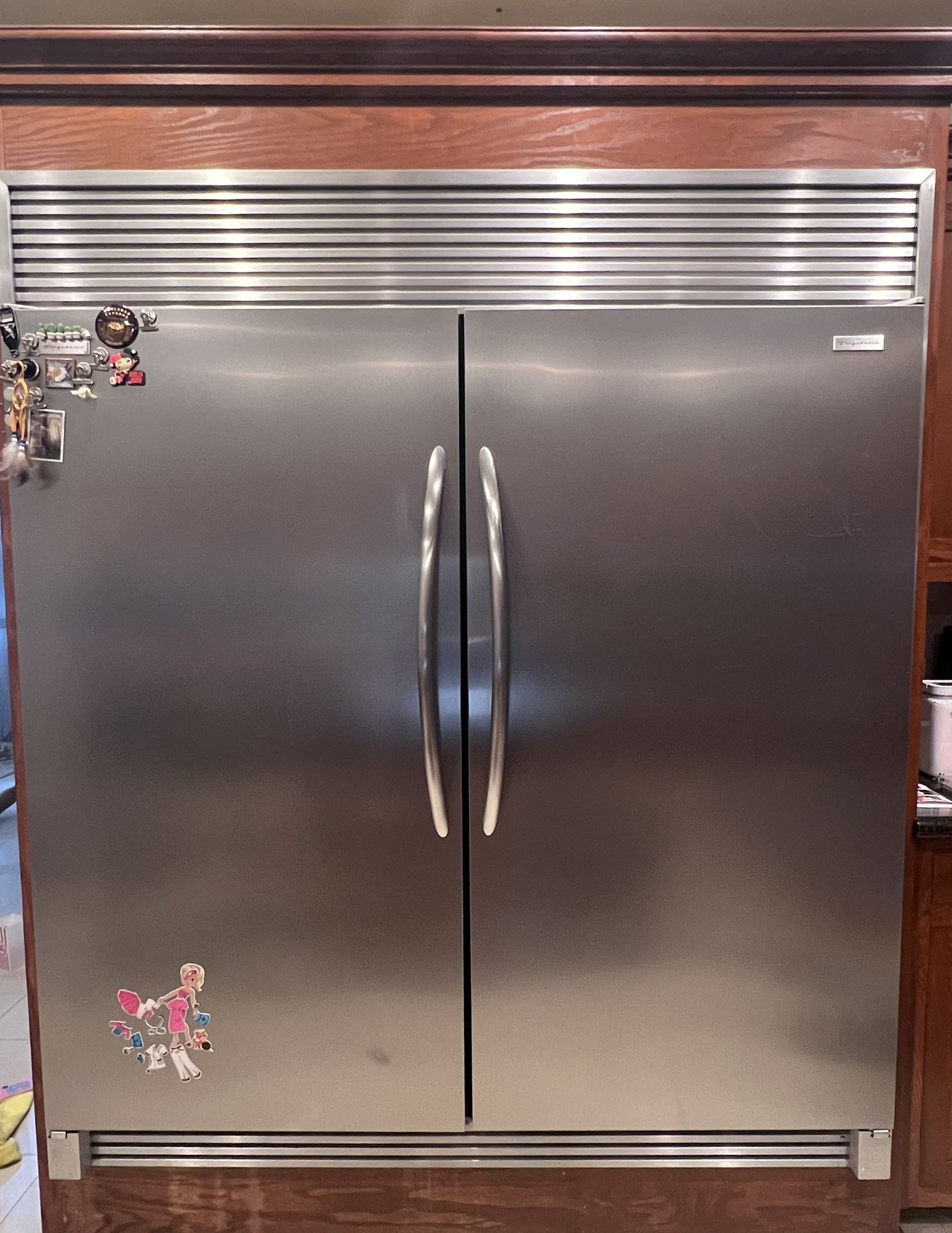 Frigidaire Professional Series Stainless Steel For Sale