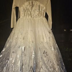 GIRL'S ELSA DRESS And Blond Wig