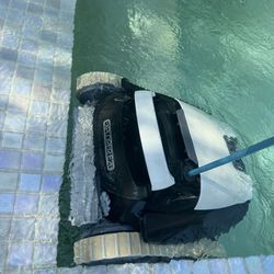 Dolphin Robot Pool Cleaner 
