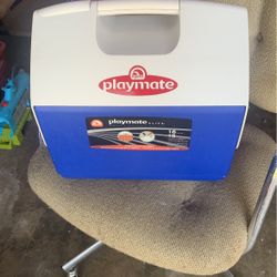 Igloo Playmate Cooler