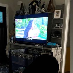 Real wood Entertainment Center