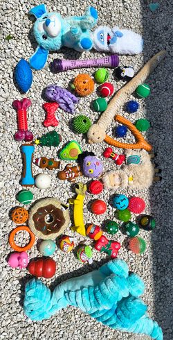 Dog toys