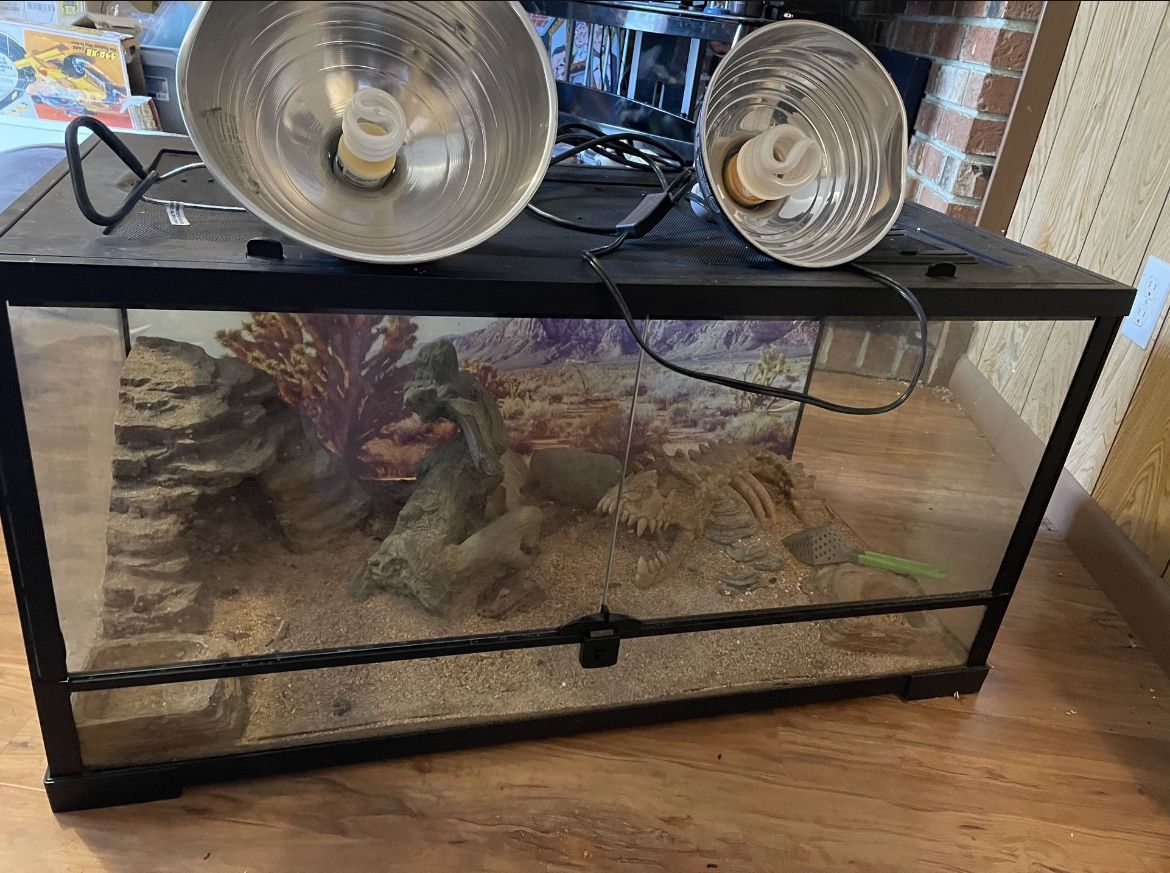 Reptile Tank