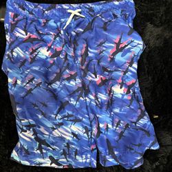 Lands End Swim Suit Sz14