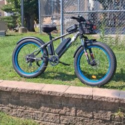 Ecotric Fat Tire Electric Bike 