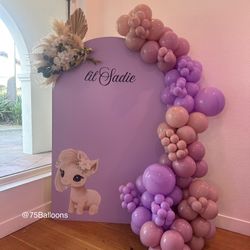 Balloon Garland 