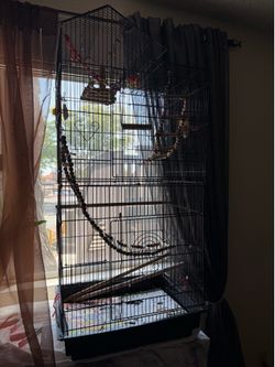 Bird Cage