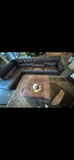 Natuzzi Sectional