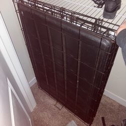 Fold Out Dog Cage 