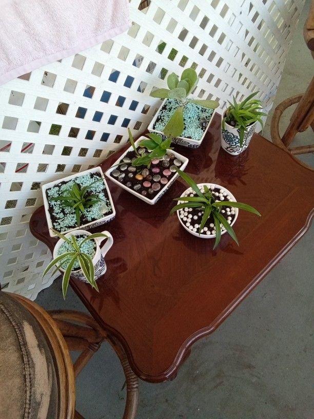 Spired Plants
