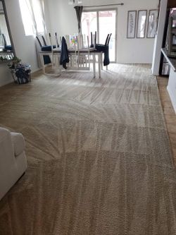 Carpet And Sofa Cleaner