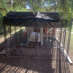 Dog Kennel