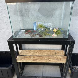 Fish Tank  20gl 