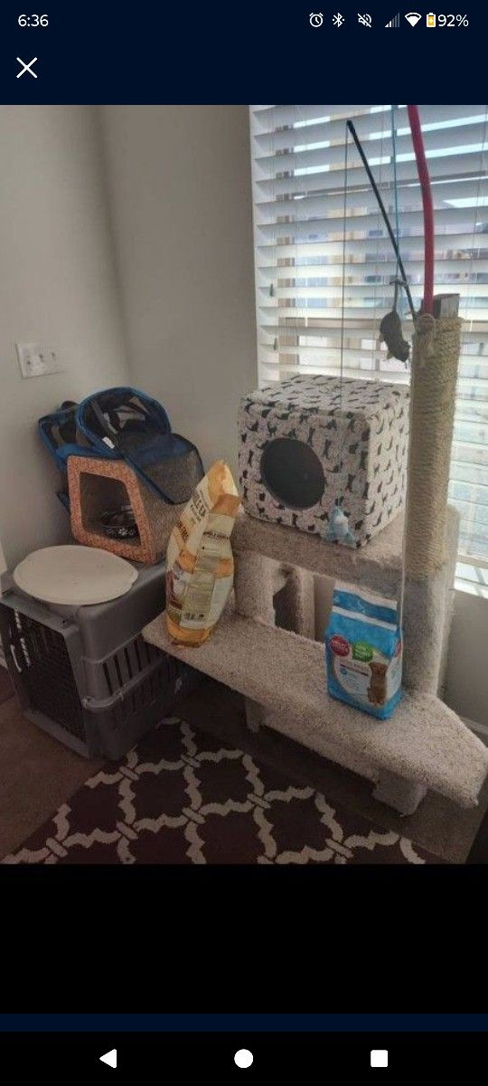 Cat/Dog Items