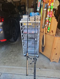 Fishing Steelhead rods