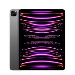 12.9-inch iPad Pro Wi-Fi 256GB Space Gray (6th Generation)
