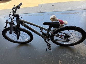 Schwinn Ranger Mountain Bike, 24" Wheels, 21 -Speed, Teen, Step-over, Silver