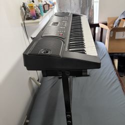 Hammer 61 Key Keyboard W/Bench