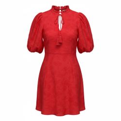 Raffle Sleeve Dress 