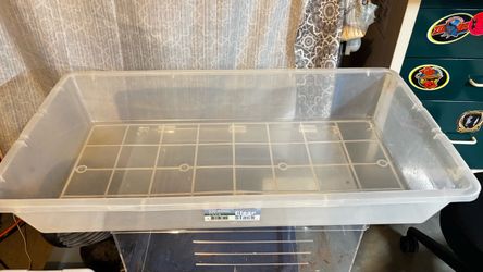 Snake tubs reptiles