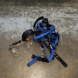 Harness With Yoyo Head