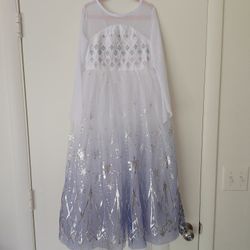 Elsa dress (Frozen II)