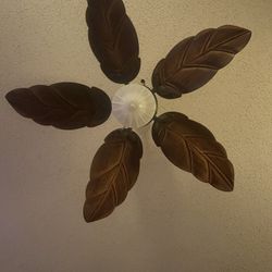 Palm Cove Ceiling Fan