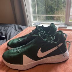 Paul George 4 Shoes Size 14