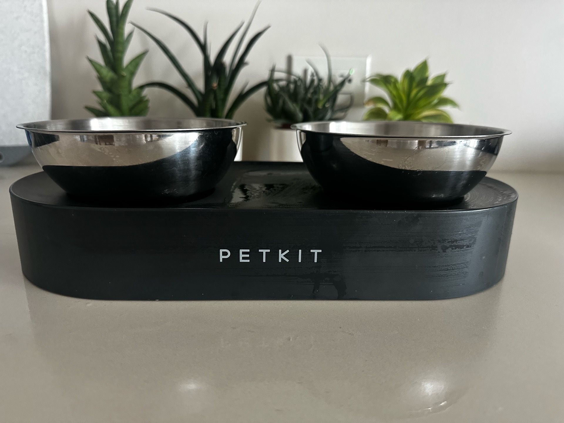 Pet feeding station with bowls