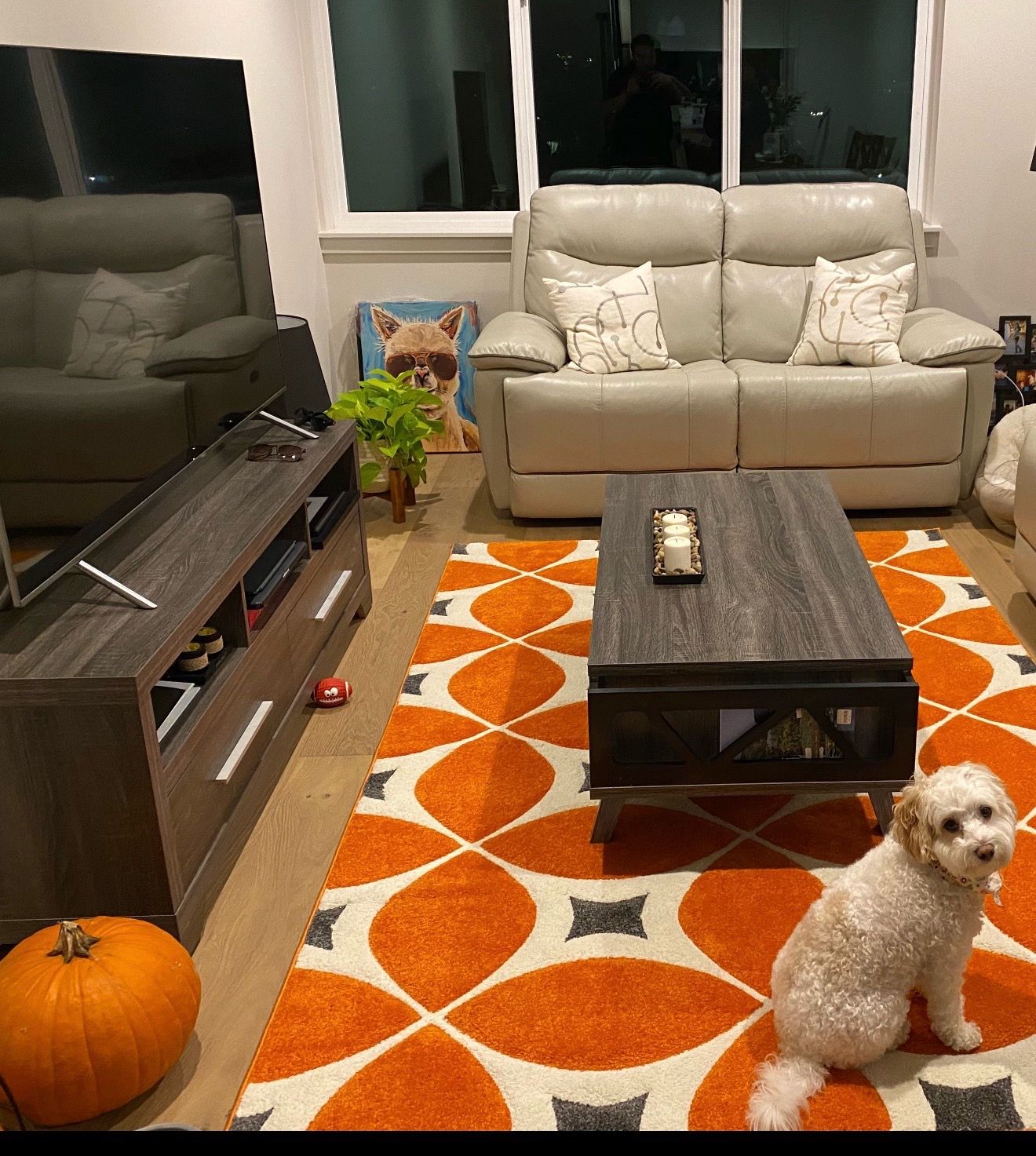 TV Stand