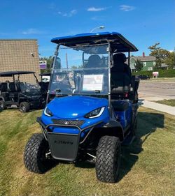 Bintelli Golf Cart